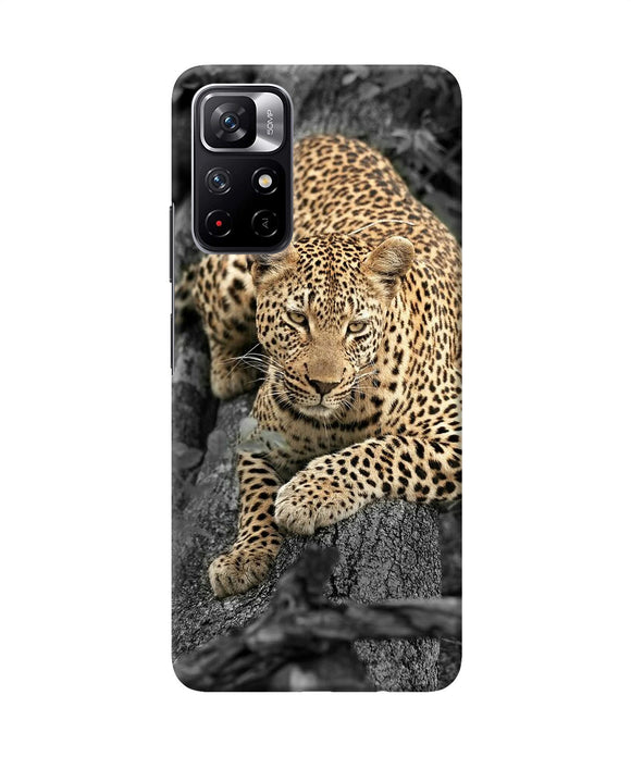 Sitting leopard Redmi Note 11T 5G Back Cover