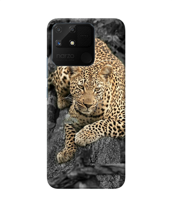 Sitting leopard Realme Narzo 50A Back Cover