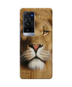 Nature lion poster Vivo X60 Pro Plus Back Cover