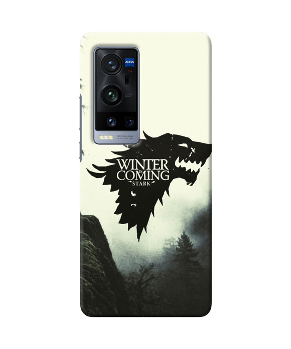 Winter coming stark Vivo X60 Pro Plus Back Cover