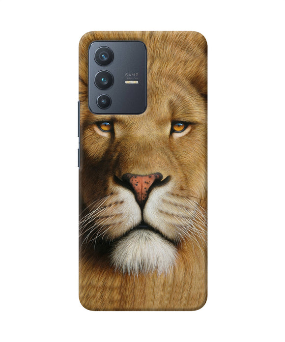 Nature lion poster Vivo V23 5G Back Cover