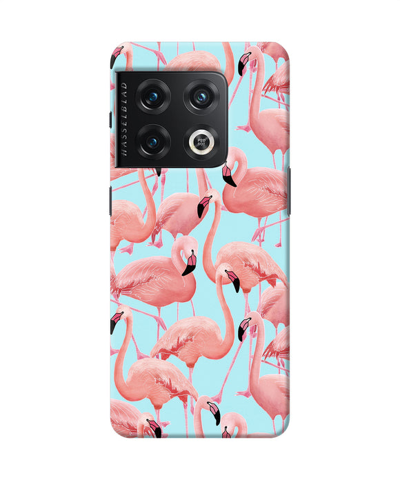 Abstract sheer bird print OnePlus 10 Pro 5G Back Cover