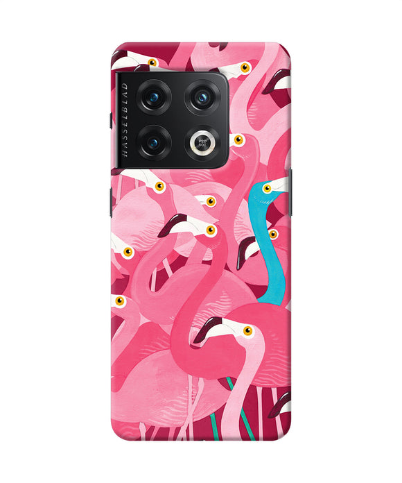 Abstract sheer bird pink print OnePlus 10 Pro 5G Back Cover