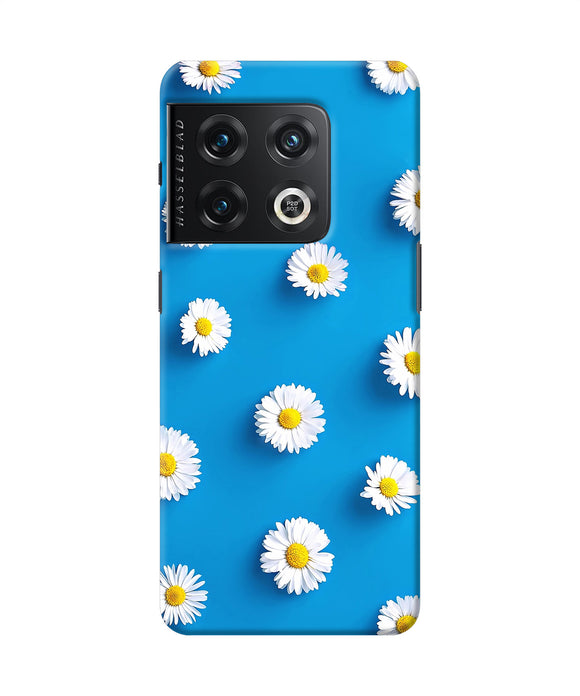 White flowers OnePlus 10 Pro 5G Back Cover