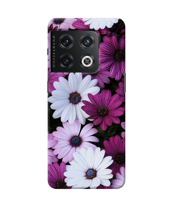 White violet flowers OnePlus 10 Pro 5G Back Cover