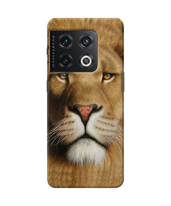 Nature lion poster OnePlus 10 Pro 5G Back Cover