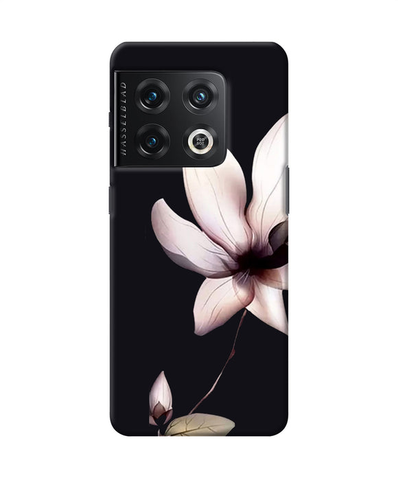 Flower white OnePlus 10 Pro 5G Back Cover