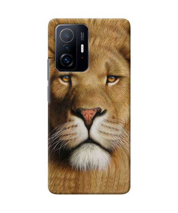Nature lion poster Mi 11T Pro 5G Back Cover