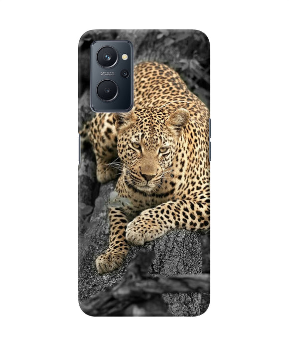 Sitting leopard Realme 9i Back Cover