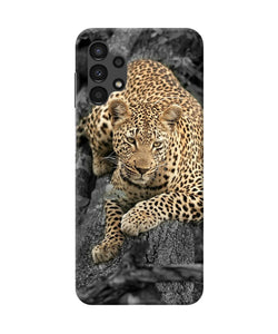 Sitting leopard Samsung A13 4G Back Cover