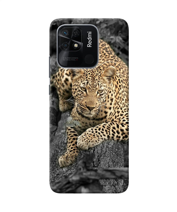 Sitting leopard Redmi 10/10 Power Back Cover