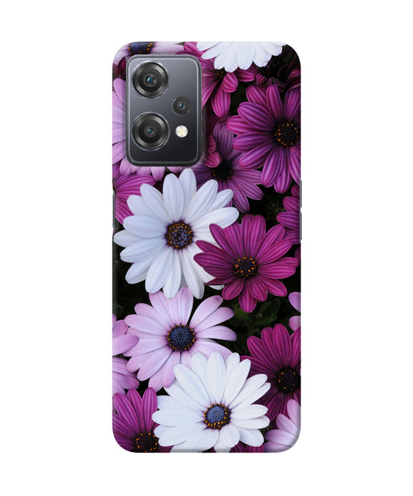 White violet flowers OnePlus Nord CE 2 Lite 5G Back Cover