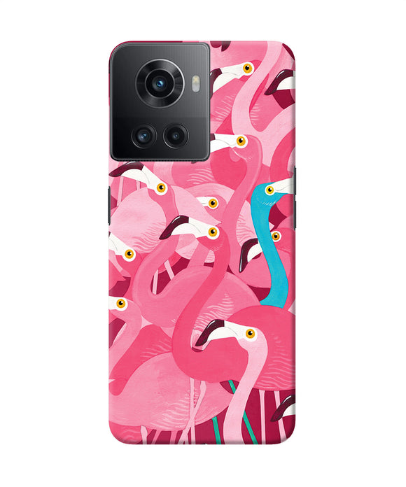Abstract sheer bird pink print OnePlus 10R 5G Back Cover