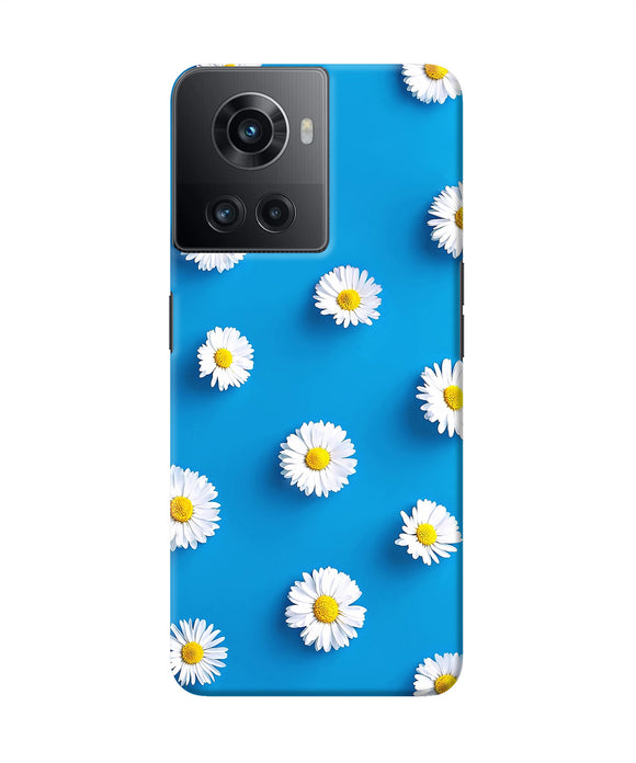 White flowers OnePlus 10R 5G Back Cover