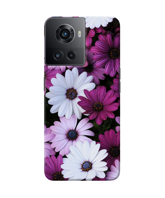 White violet flowers OnePlus 10R 5G Back Cover
