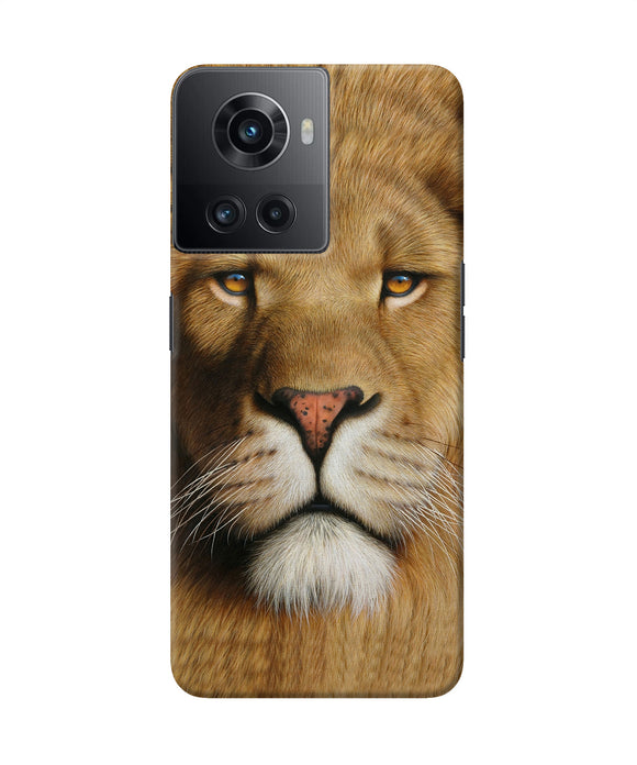 Nature lion poster OnePlus 10R 5G Back Cover