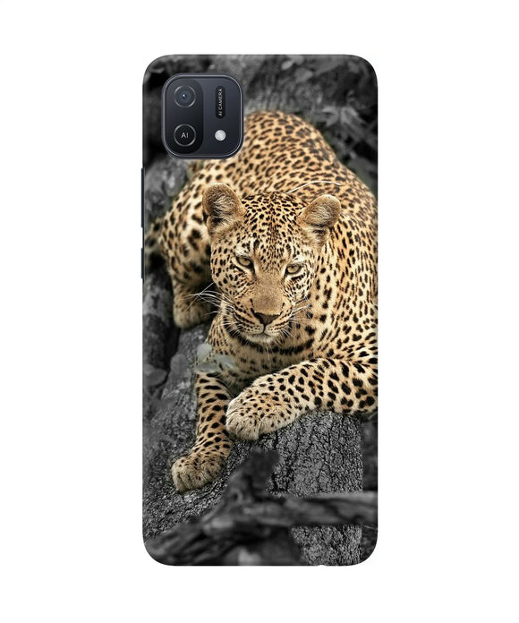 Sitting leopard Oppo A16k/A16e Back Cover