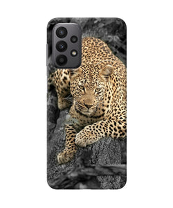 Sitting leopard Samsung A23 Back Cover