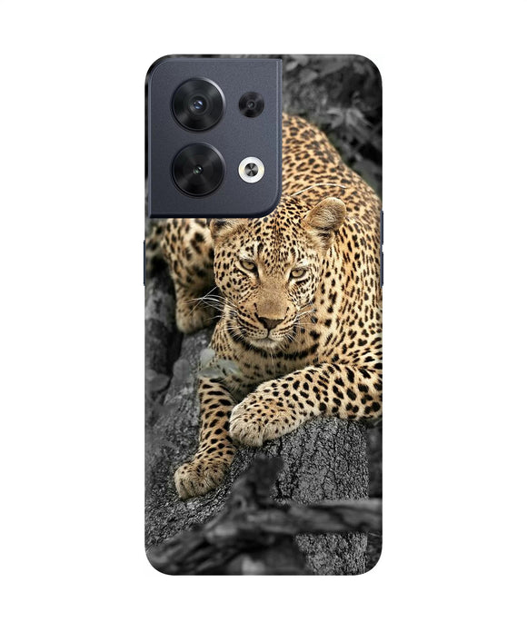 Sitting leopard Oppo Reno8 Back Cover