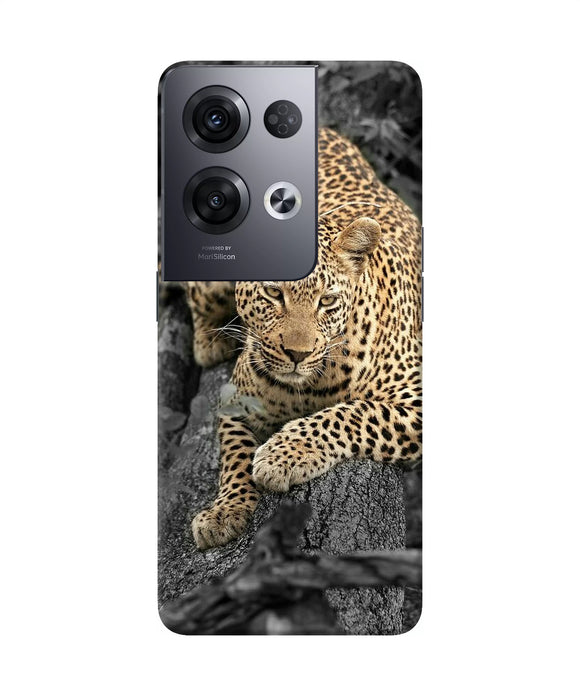 Sitting leopard Oppo Reno8 Pro Back Cover