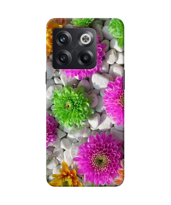 Natural flower stones OnePlus 10T 5G Back Cover