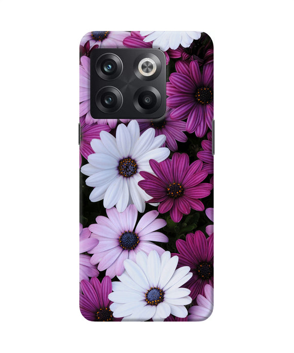 White violet flowers OnePlus 10T 5G Back Cover