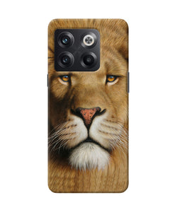 Nature lion poster OnePlus 10T 5G Back Cover