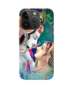 Lord radha krishna paint iPhone 14 Pro Back Cover