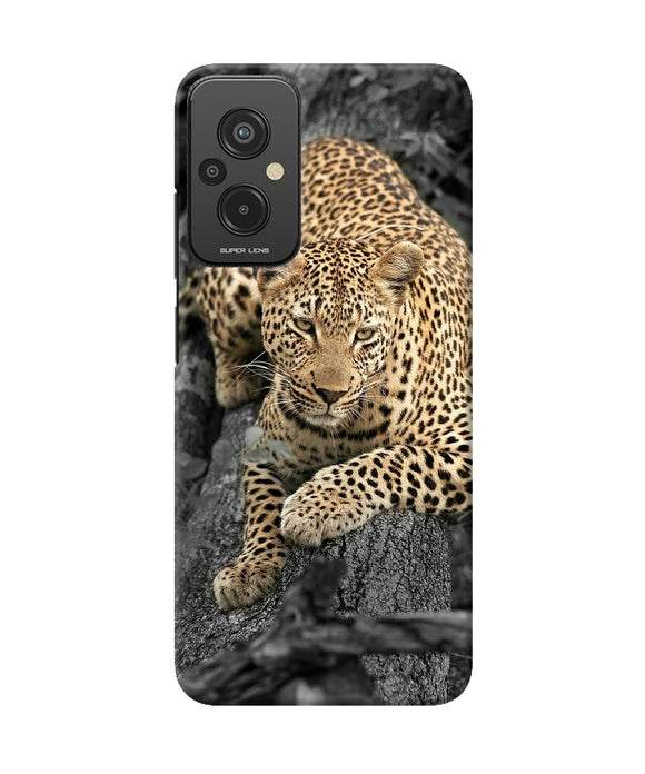 Sitting leopard Redmi 11 Prime 5G Back Cover