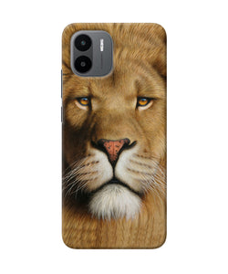 Nature lion poster Redmi A1 Back Cover