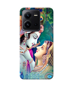 Lord radha krishna paint Vivo V25 5G Back Cover