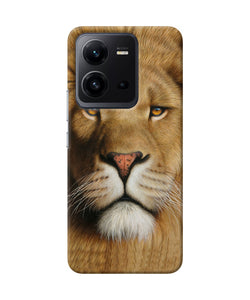 Nature lion poster Vivo V25 5G Back Cover