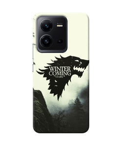 Winter coming stark Vivo V25 5G Back Cover