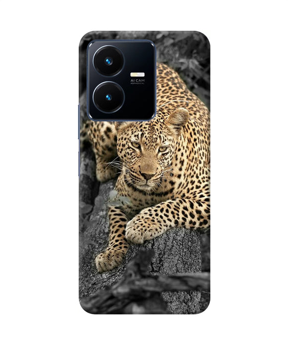 Sitting leopard Vivo Y22 Back Cover