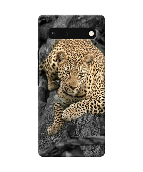 Sitting leopard Google Pixel 6 Back Cover