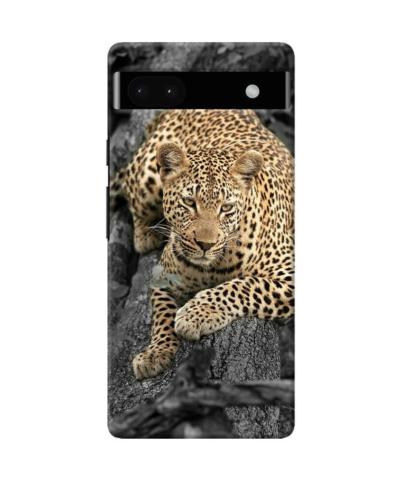 Sitting leopard Google Pixel 6A Back Cover