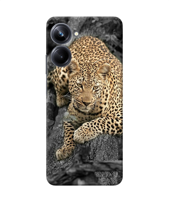 Sitting leopard Realme 10 Pro 5G Back Cover