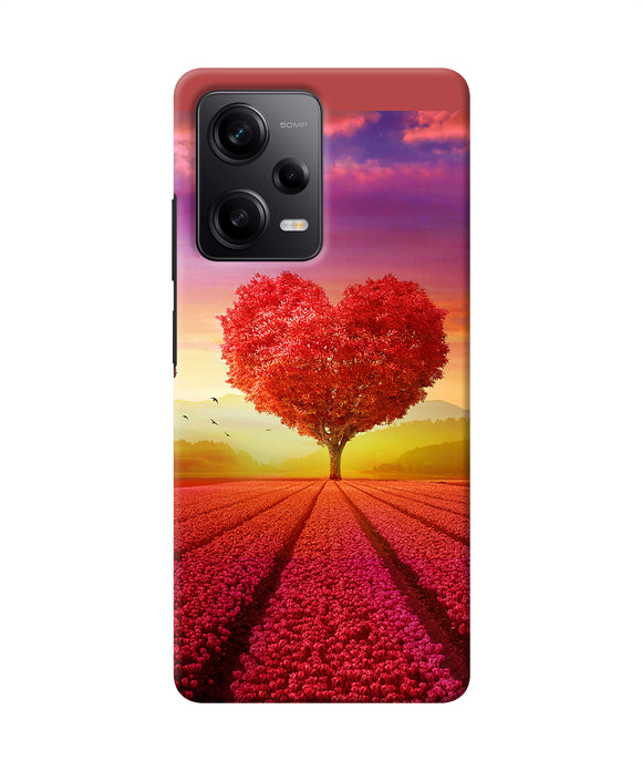 Natural heart tree Redmi Note 12 5G Back Cover