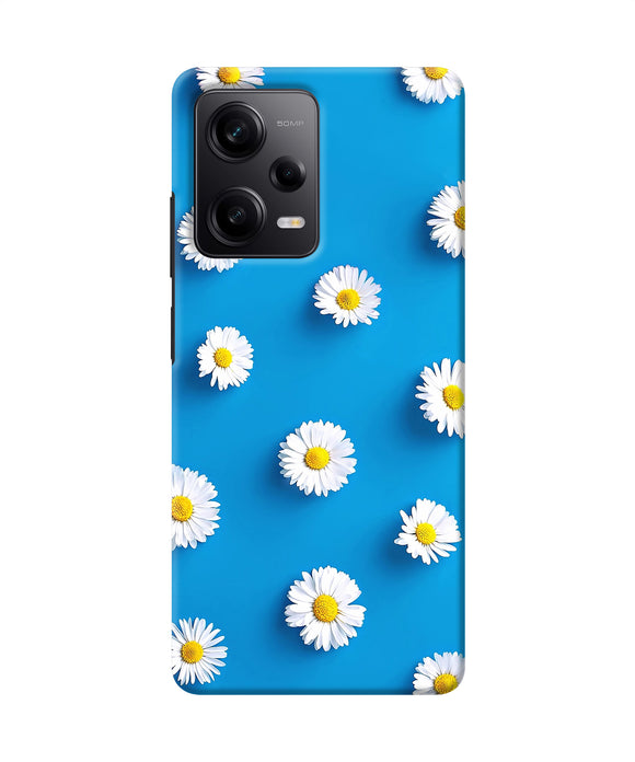 White flowers Redmi Note 12 5G Back Cover