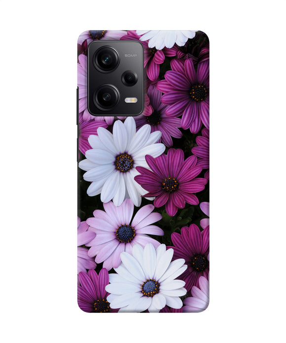 White violet flowers Redmi Note 12 5G Back Cover