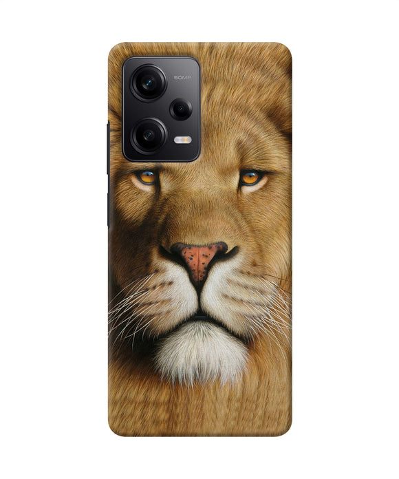 Nature lion poster Redmi Note 12 5G Back Cover
