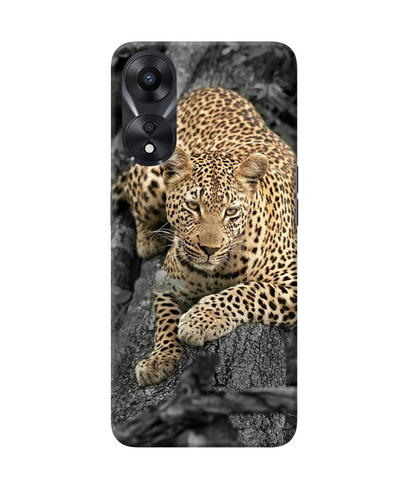 Sitting leopard Oppo A78 5G Back Cover