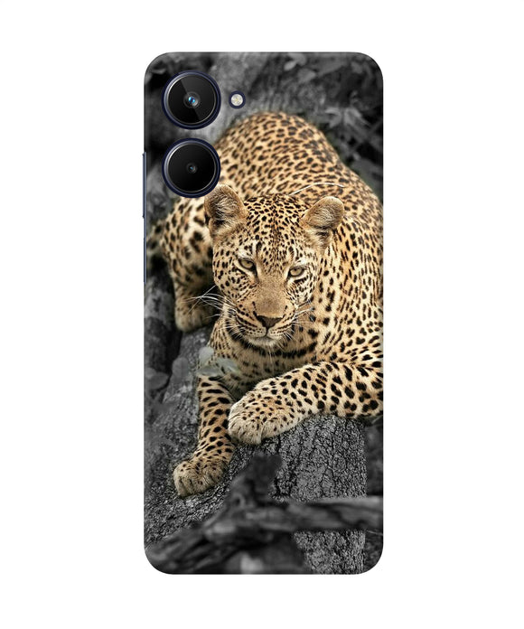 Sitting leopard Realme 10 Back Cover