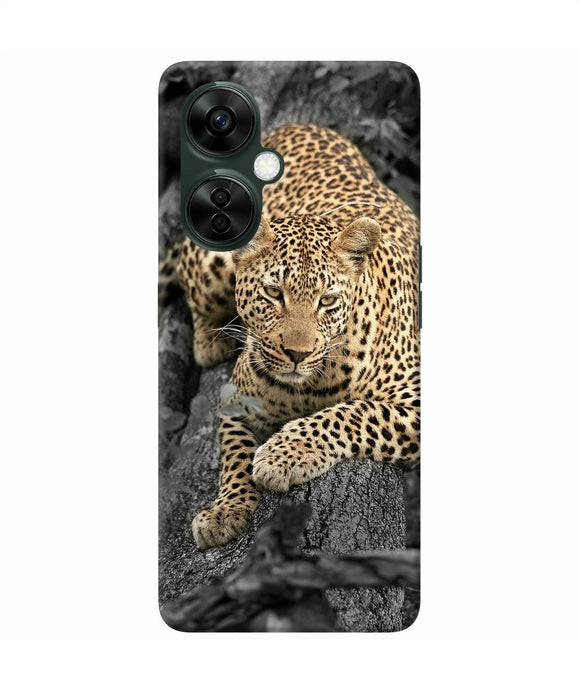 Sitting leopard OnePlus Nord CE 3 Lite 5G Back Cover