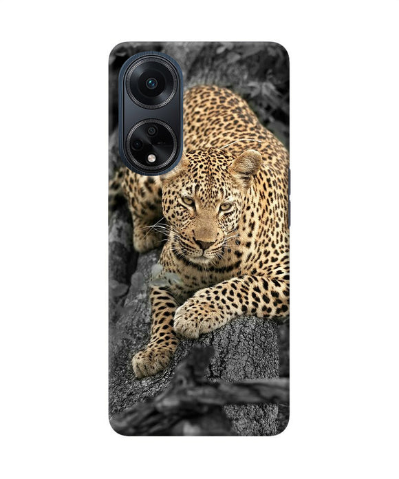 Sitting leopard Oppo F23 Back Cover