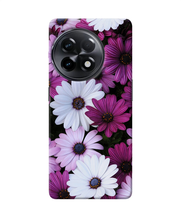 White violet flowers OnePlus 11R Back Cover