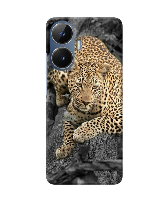 Sitting leopard Realme C55/N55 Back Cover