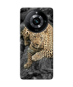 Sitting leopard Realme 11 Pro/Pro+ 5G Back Cover