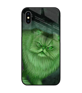 Hulk Cat iPhone X Glass Cover
