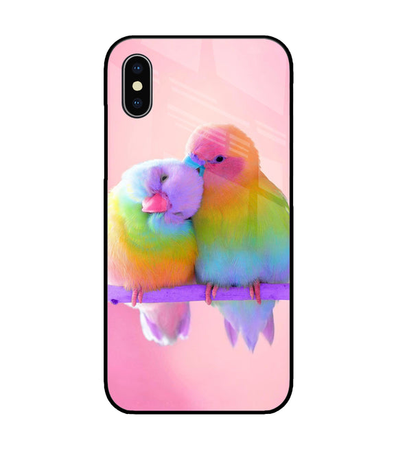 Love Birds iPhone XS Glass Cover